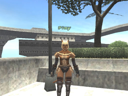 34になりました